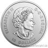 Stříbrná mince Maple leafs 2017